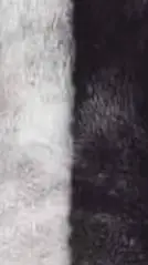 ai character: Telemachus x You background