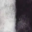 chat with ai character: Telemachus x You