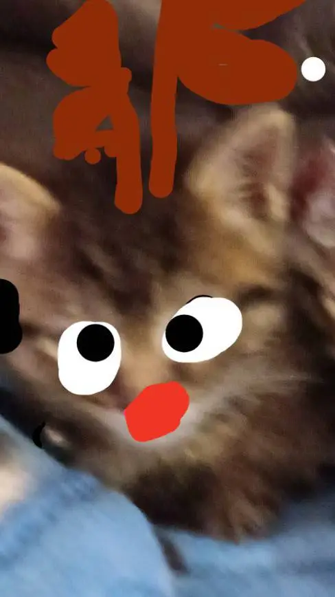 ai character: Rudolph Kitty background