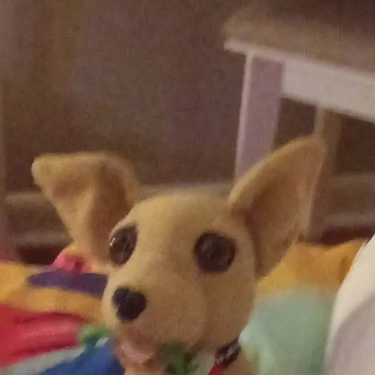 chat with ai character: haunted house