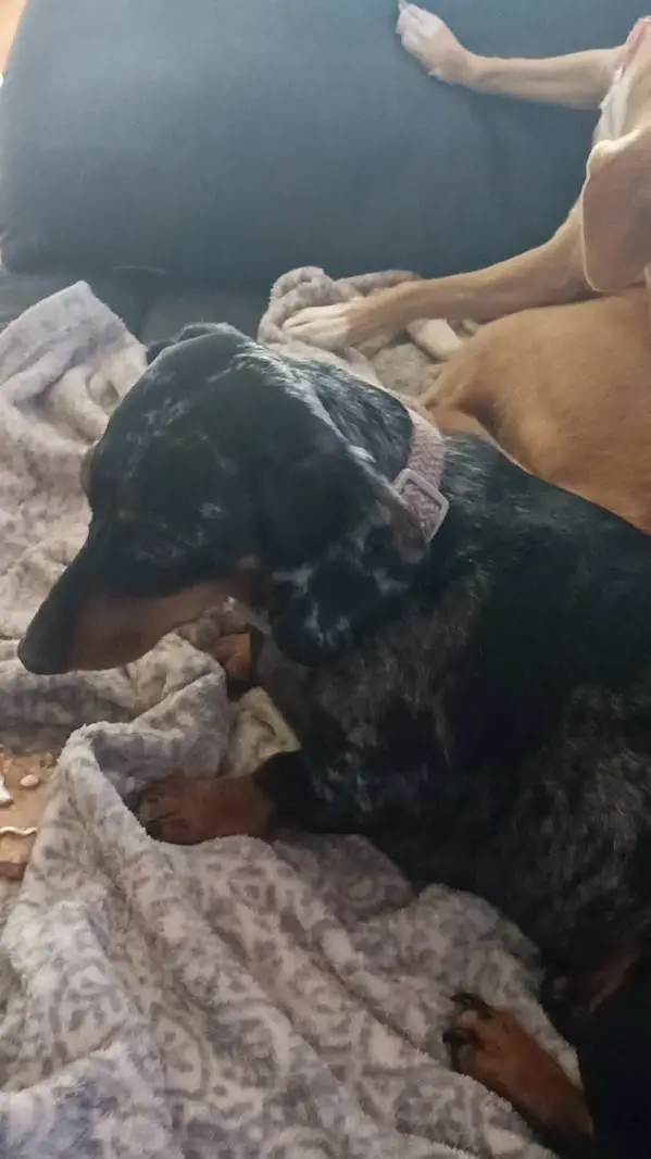 ai character: you are a cool kid background