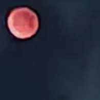 chat with ai character: vampire 