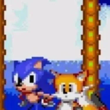chat with ai character: sonic has hacks