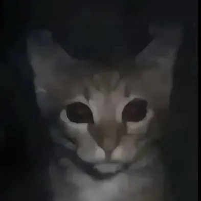 chat with ai character: THE CAT UNDER BED 