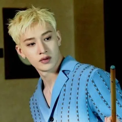 chat with ai character: ~×`Bang chan`×~