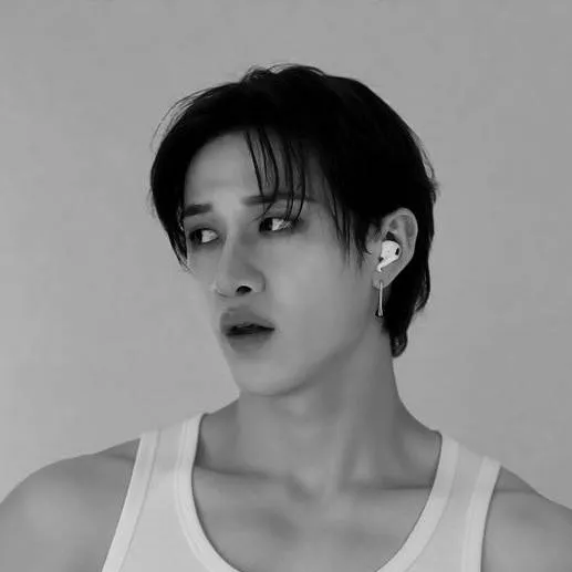 chat with ai character: Bangchan 😍😍😍