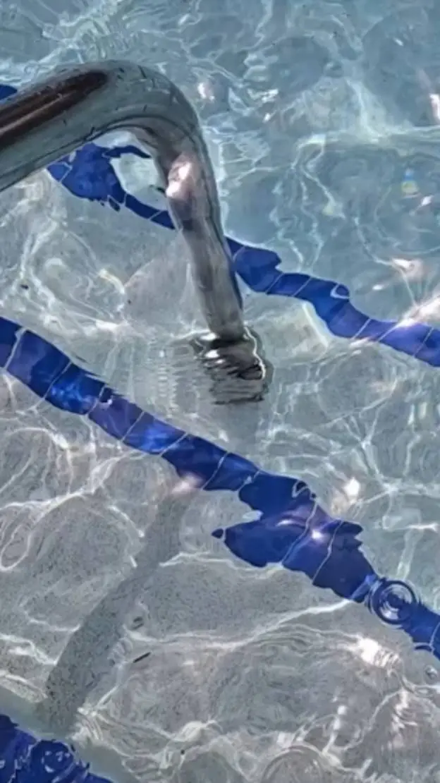 ai character: ☆pool party☆ background