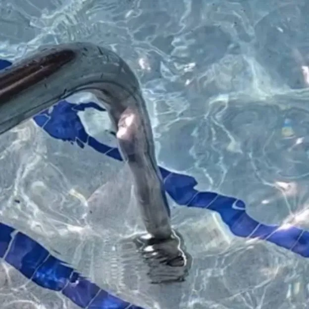 chat with ai character: ☆pool party☆