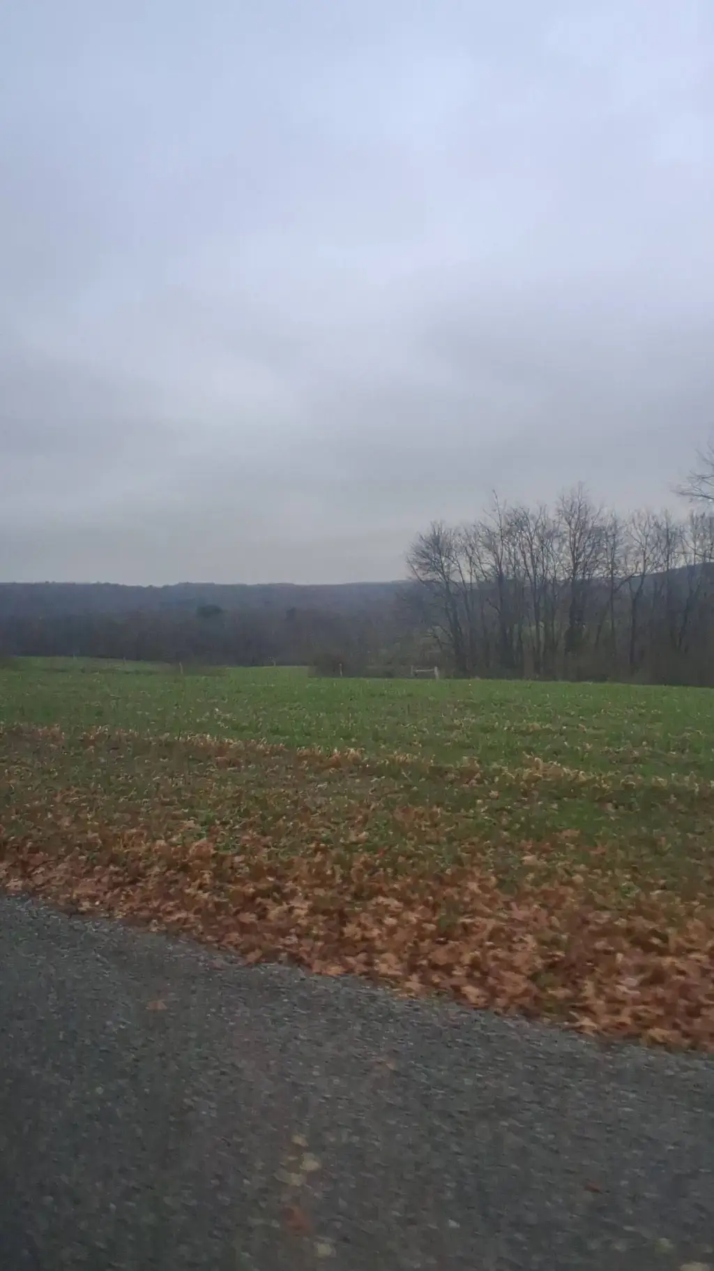 ai character: name guesser background