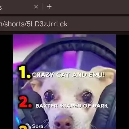 chat with ai character: dog 