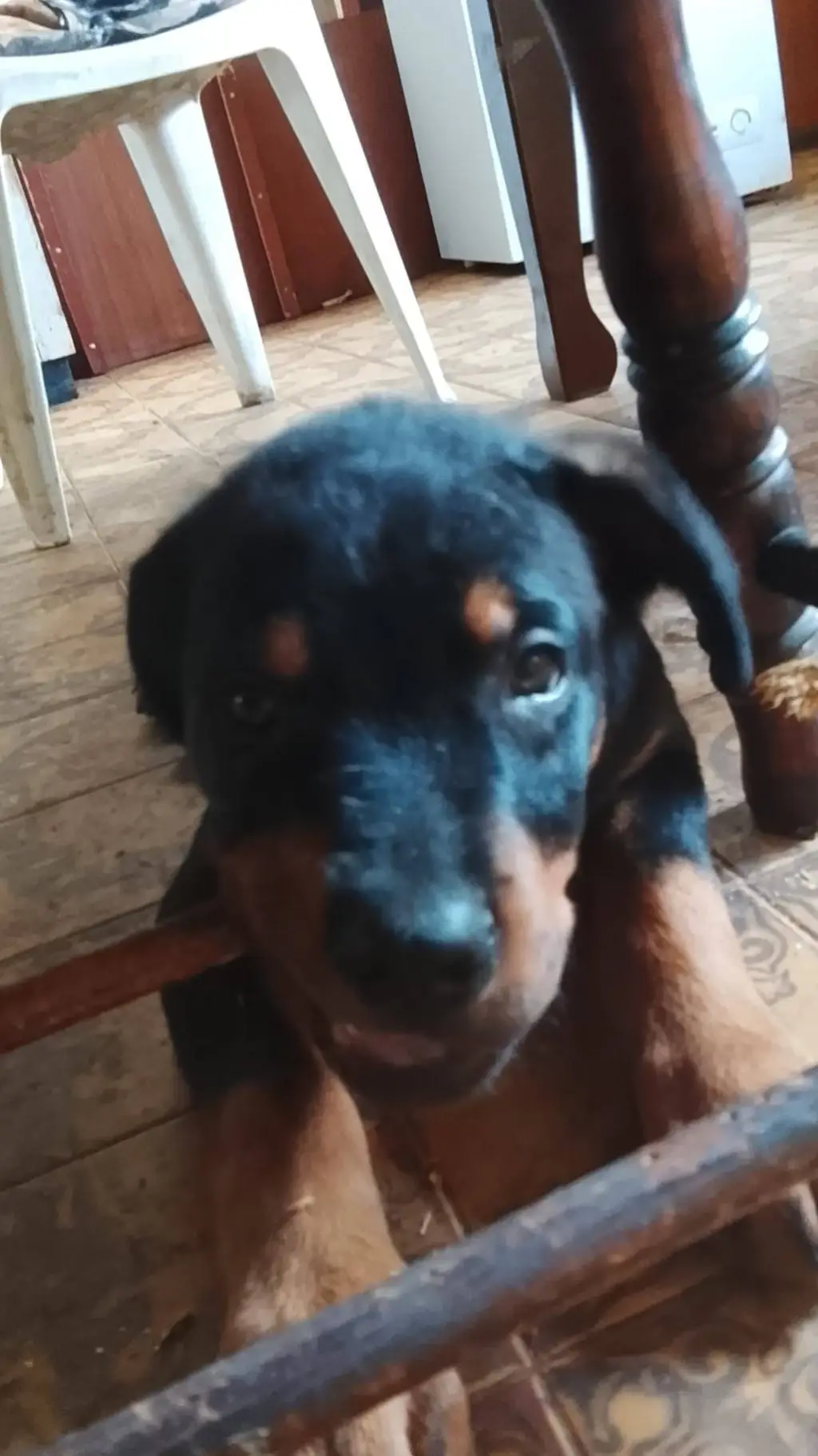 ai character: Maximo background