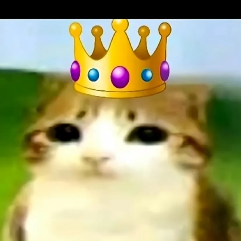 chat with ai character: Chaos cooking 