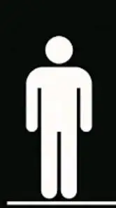 ai character: SIV-24 background