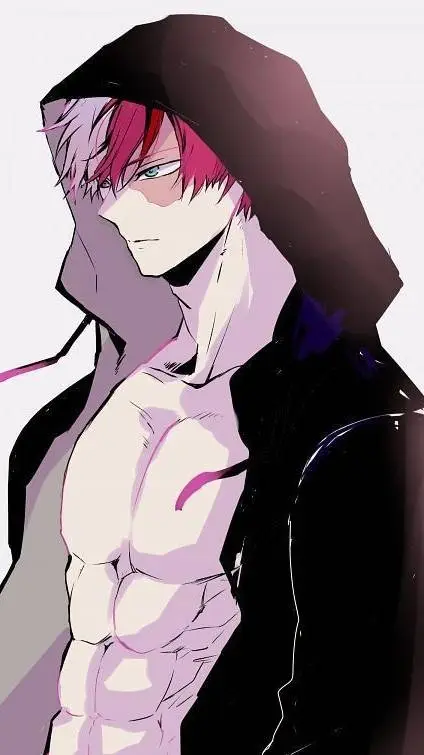 ai character: ❄️☀️TODOROKI❄️☀️ background