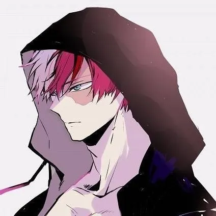 chat with ai character: ❄️☀️TODOROKI❄️☀️