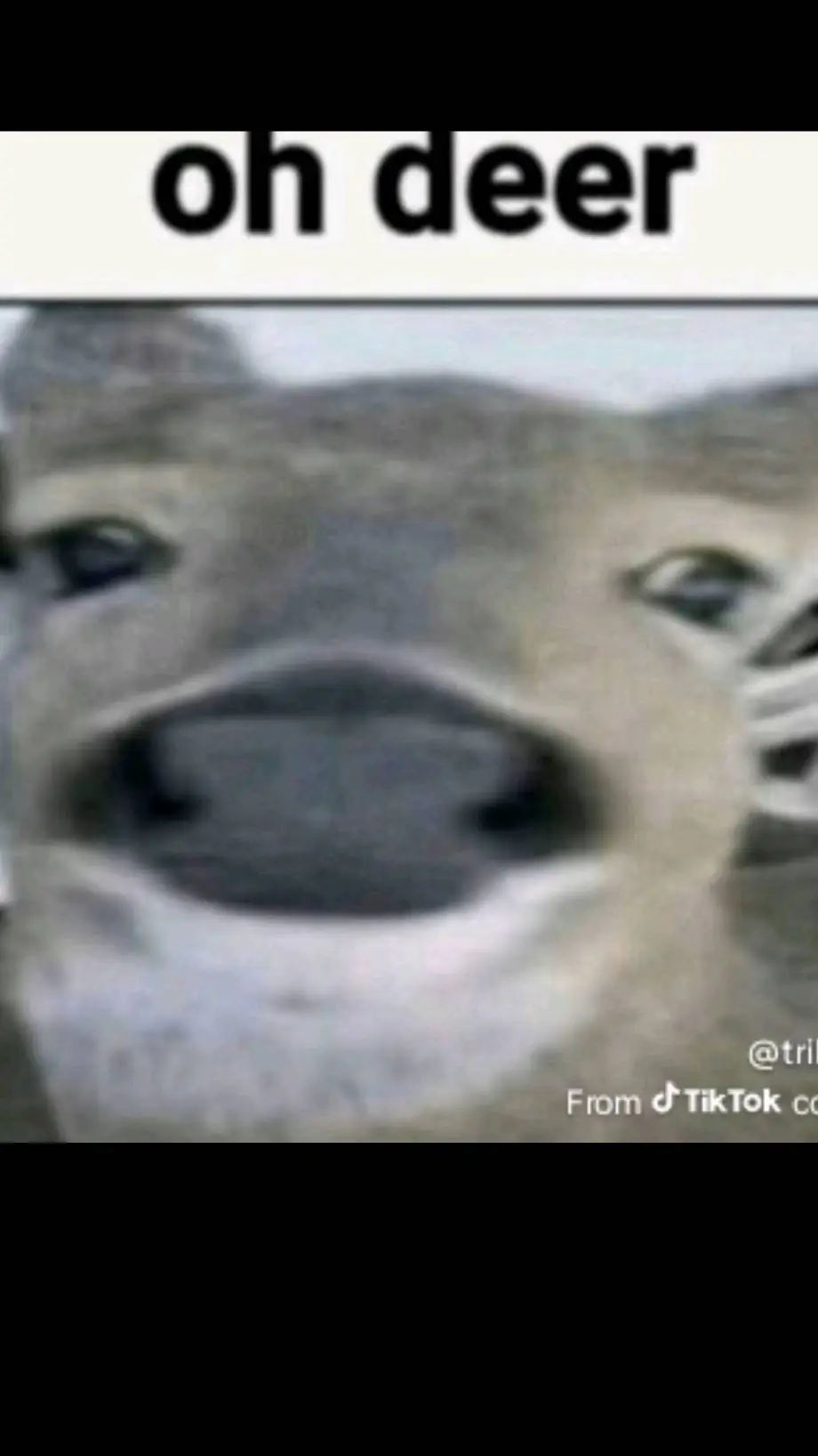 ai character: Forsaken au or smt background