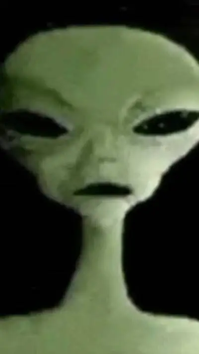 Talkie AI - Chat with Mother Alien 👽