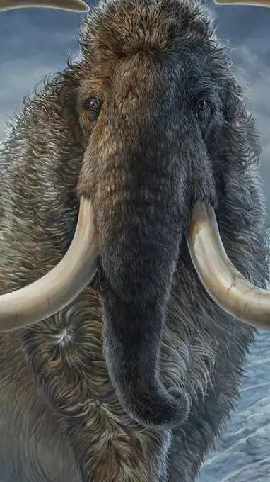 ai character: willy background