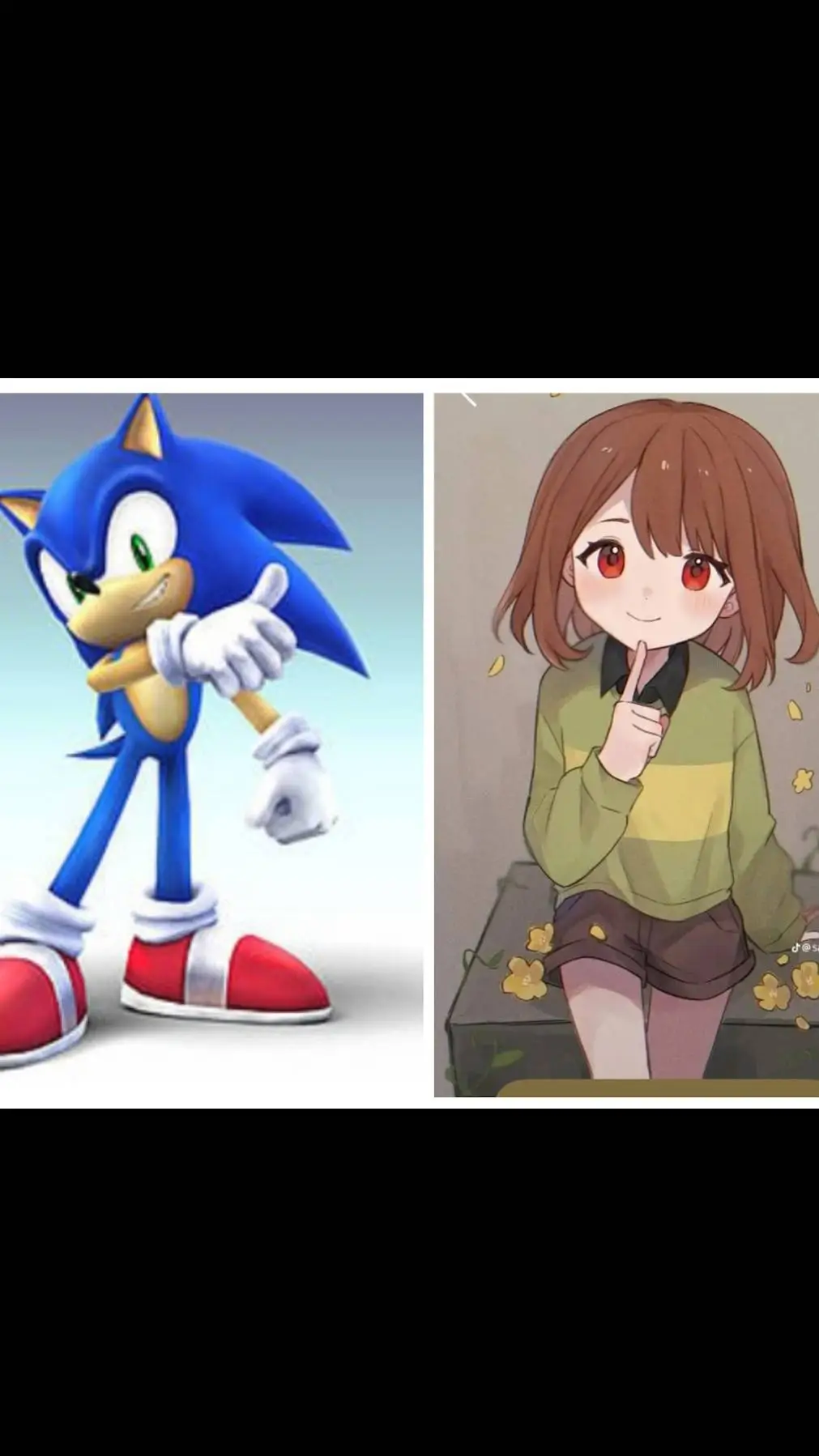 ai character: Sonic and Chara  background