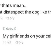 chat with ai character: 🦴 Make you dog! 🐾