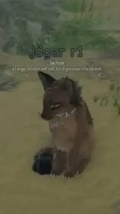 ai character: Dog pack background