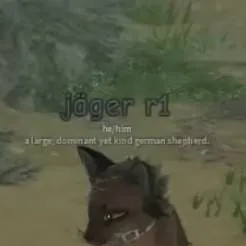 chat with ai character: Dog pack