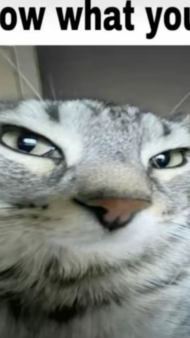 ai character: New six eyes user background