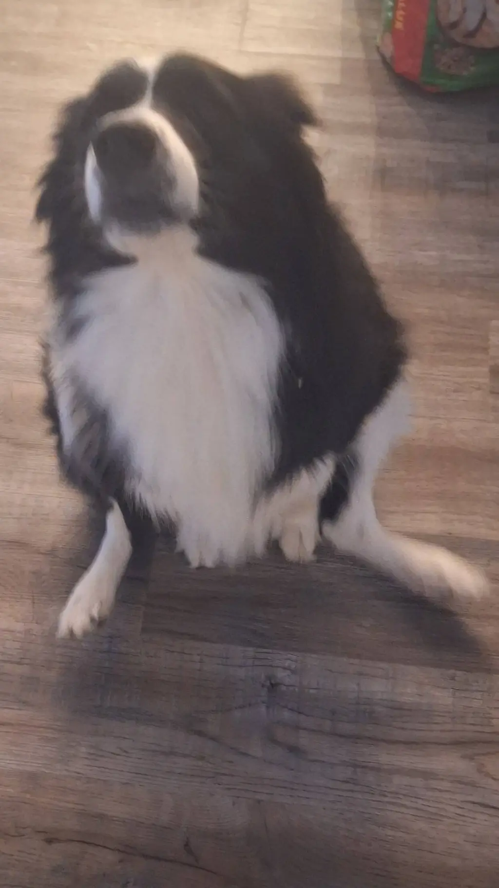 ai character: Café background