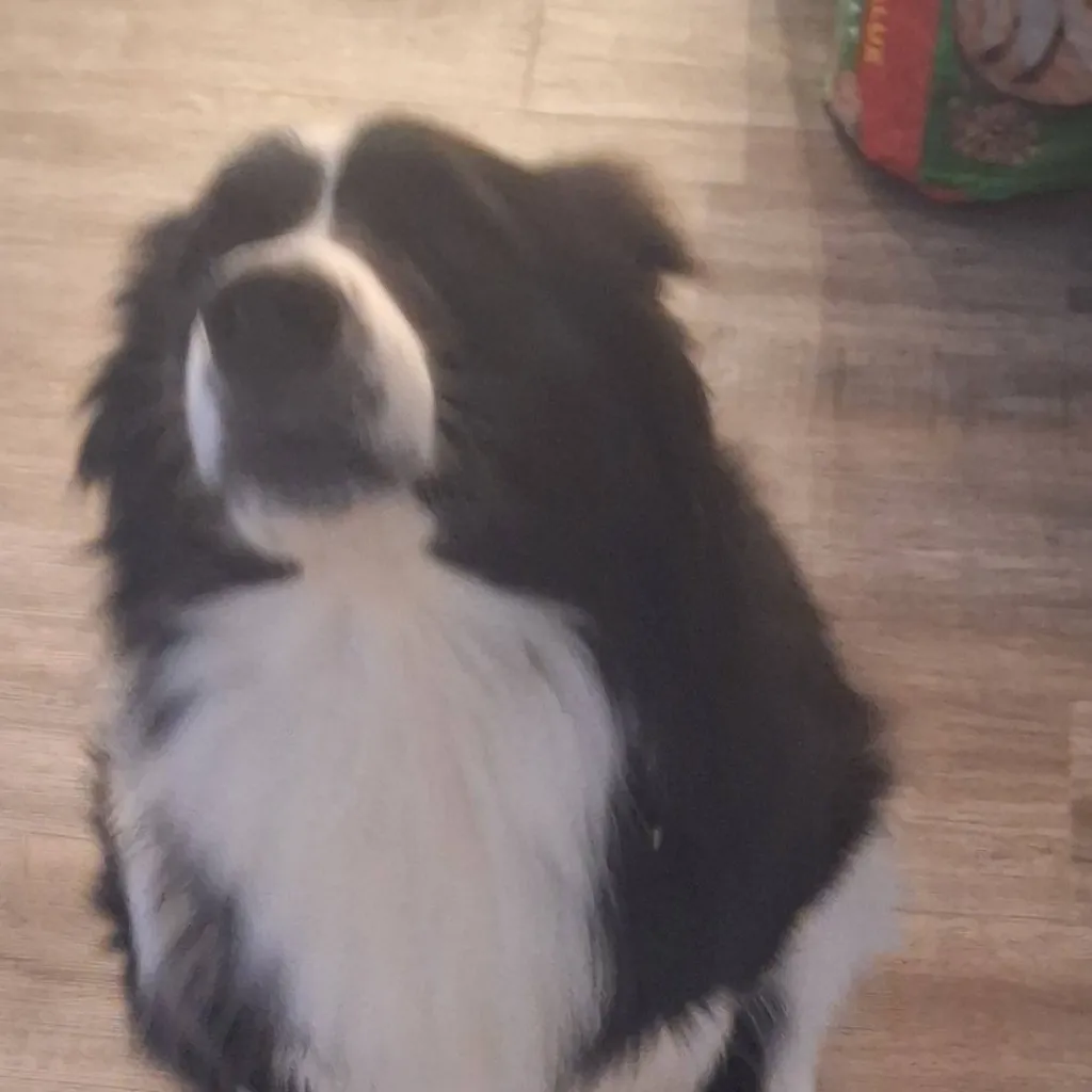 chat with ai character: Café