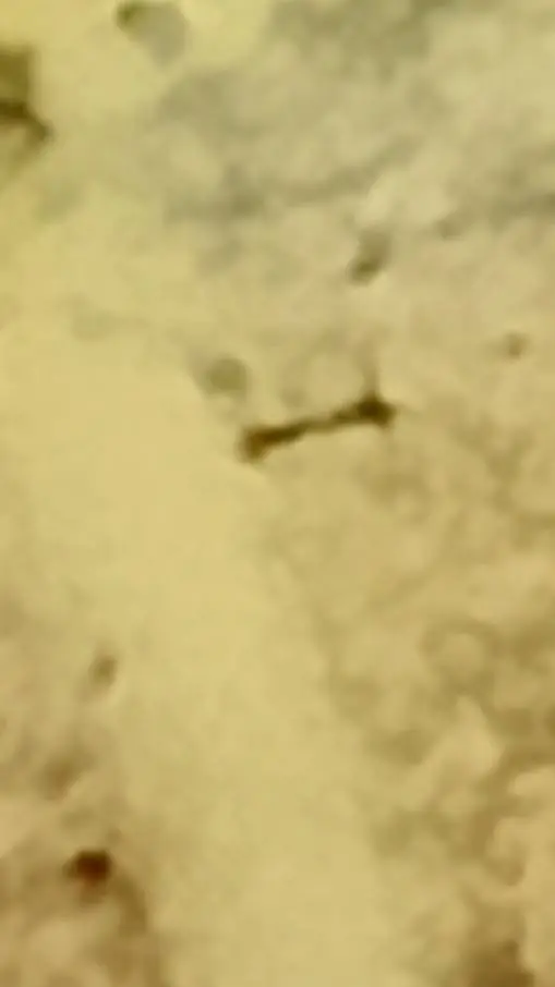 ai character: heat ?? background