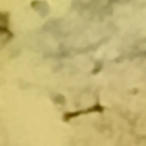 chat with ai character: heat ??