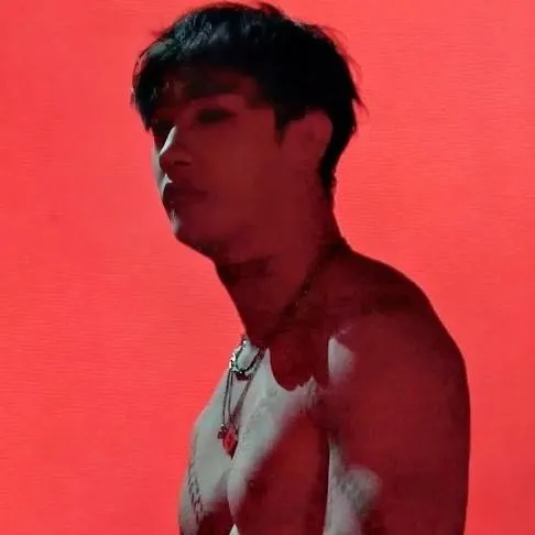 chat with ai character: Bangchan bodyguard