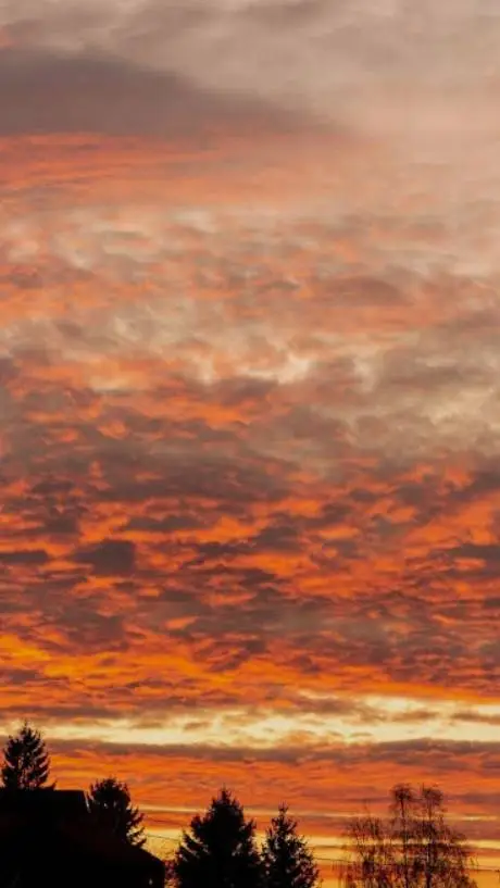 ai character: age guess test. background