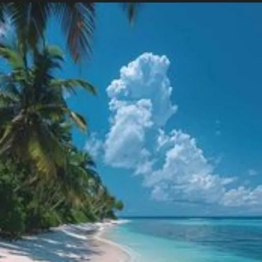 chat with ai character: COD- beach day 🏖 