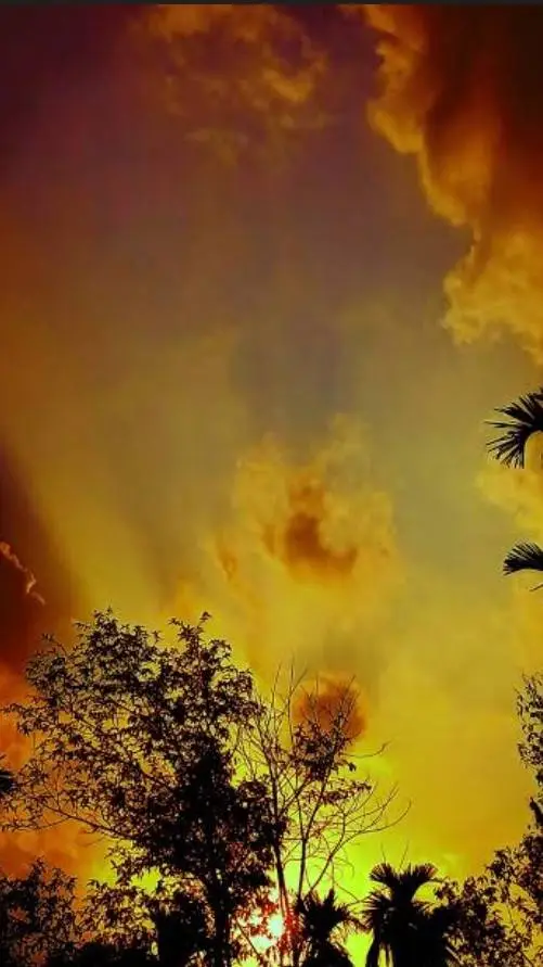 ai character: JJK [ pick-me]🙄😒 background