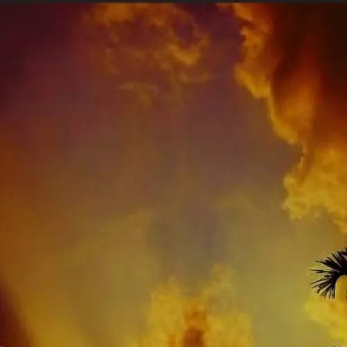 chat with ai character: JJK [ pick-me]🙄😒