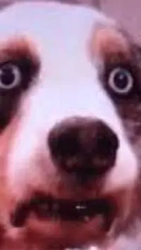 ai character: Atla cook background