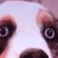 chat with ai character: Atla cook