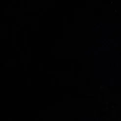 chat with ai character: Roblox girl x girl