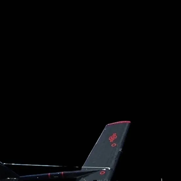 chat with ai character: Become a plane