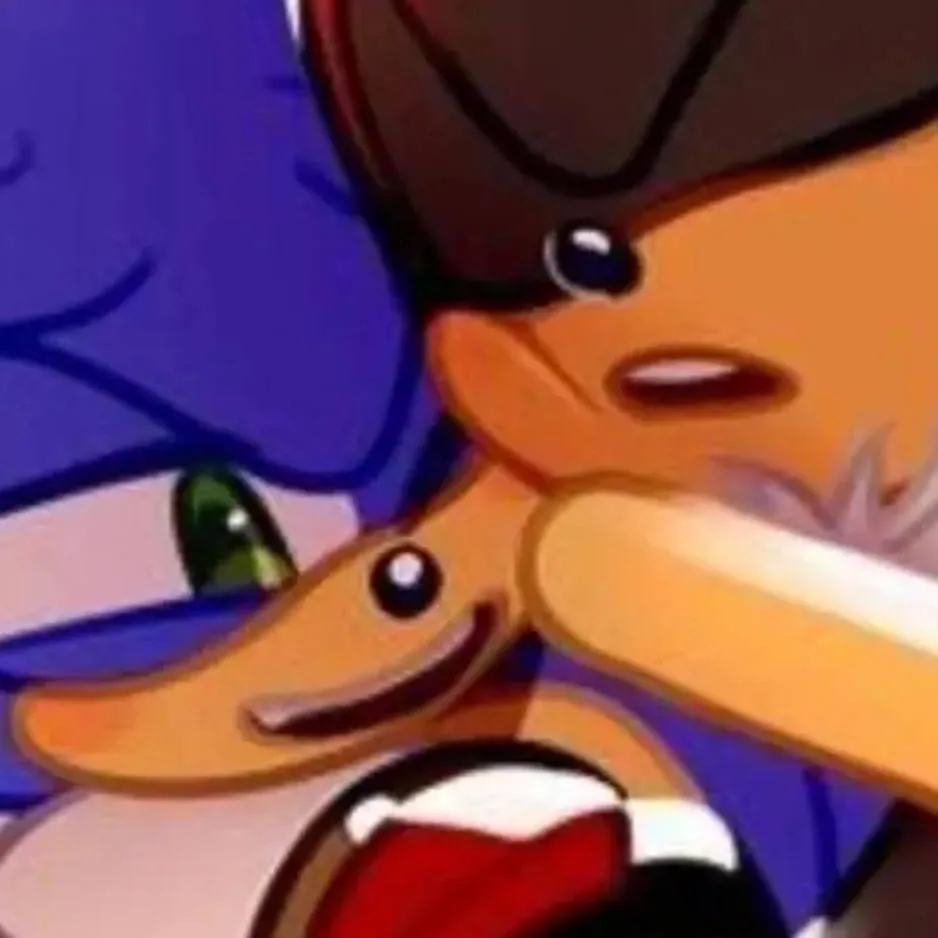 chat with ai character: 💙sonic x shadow🖤❤️