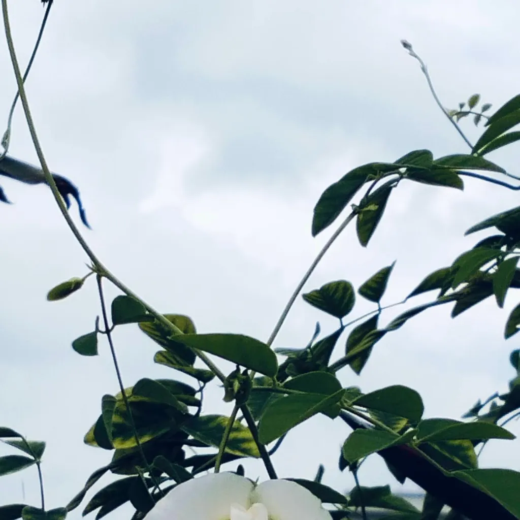 chat with ai character: Boy bestie 