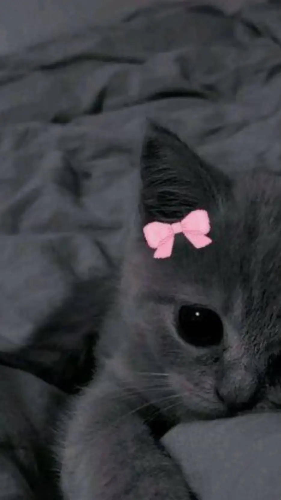 ai character: Max(Bl/Gay) background