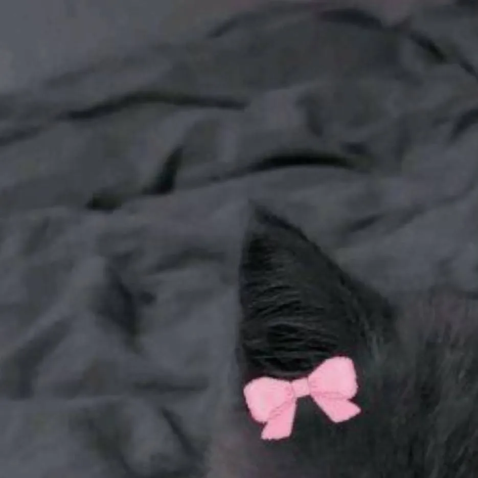 chat with ai character: Max(Bl/Gay)