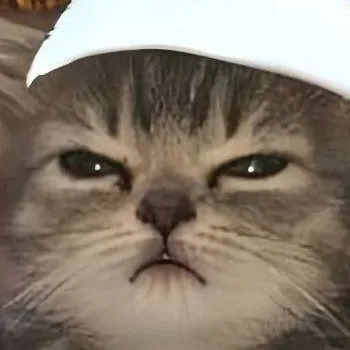 chat with ai character: Meow~