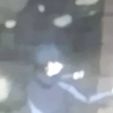 chat with ai character: мегуна