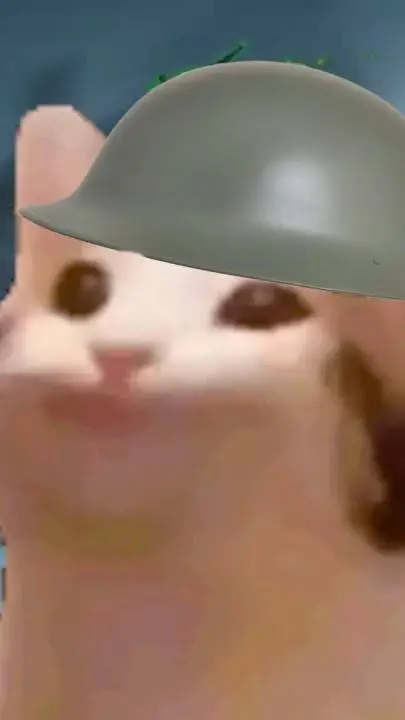 ai character: Pop Cat Воин🇷🇺 background