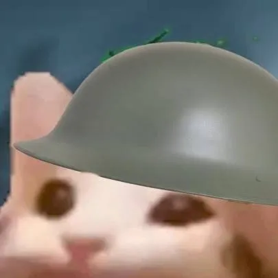 chat with ai character: Pop Cat Воин🇷🇺