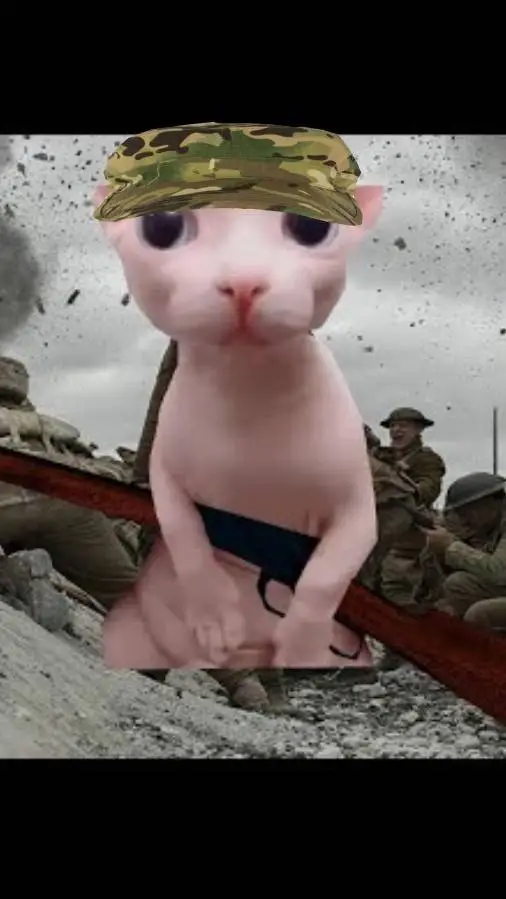 ai character: Bingus Воин🇷🇺 background