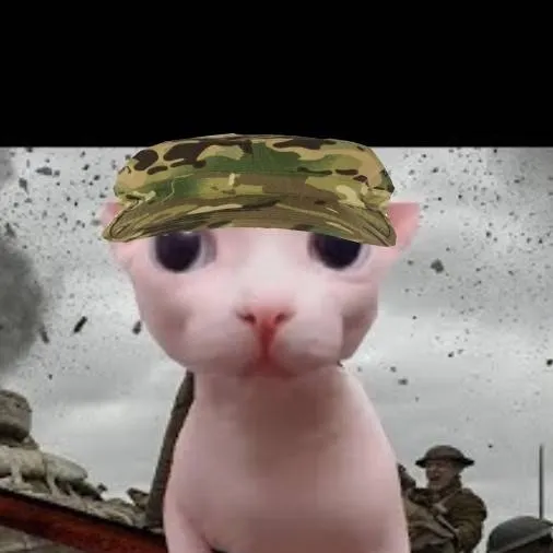 chat with ai character: Bingus Воин🇷🇺